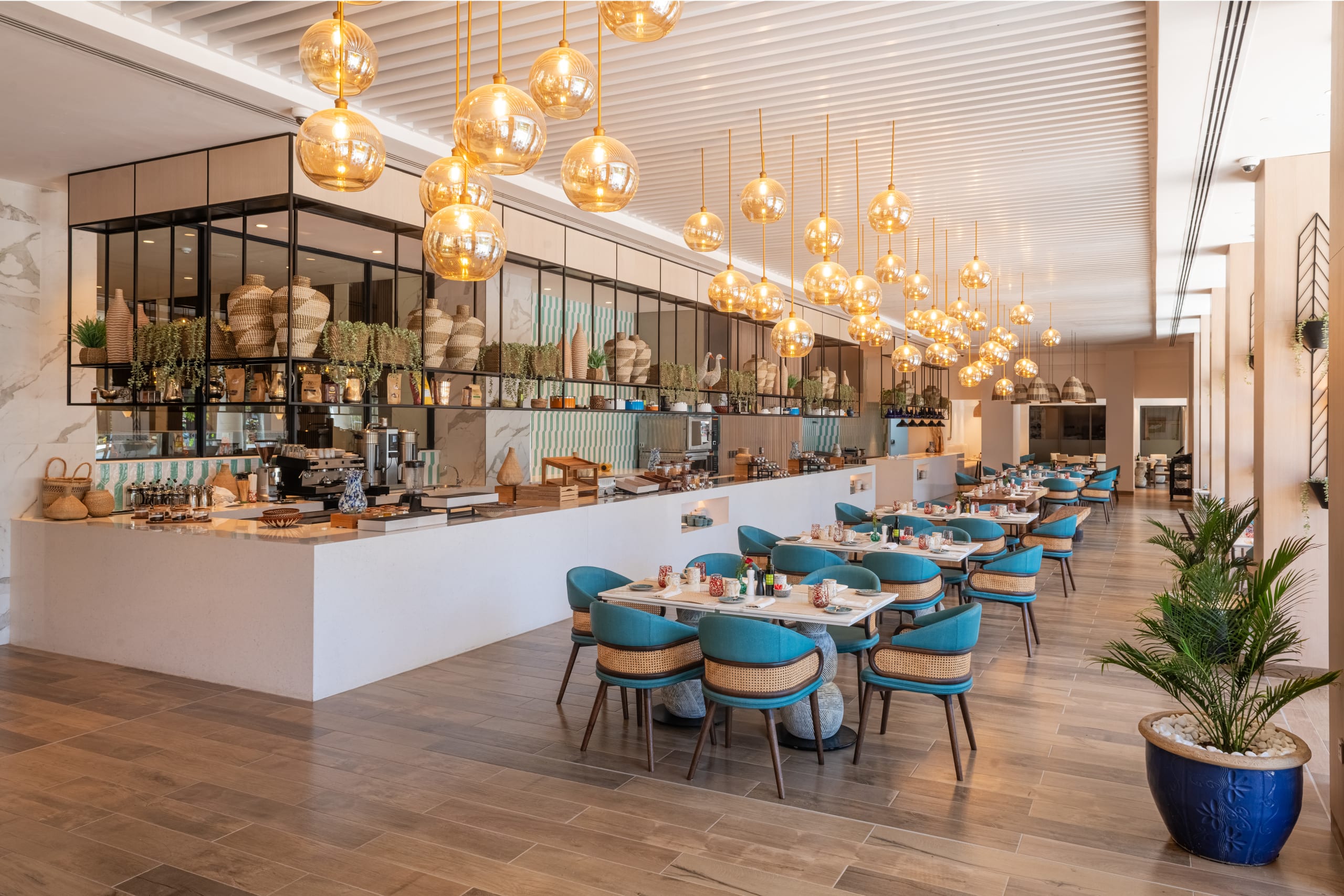 The Kitchen Restaurant (1)