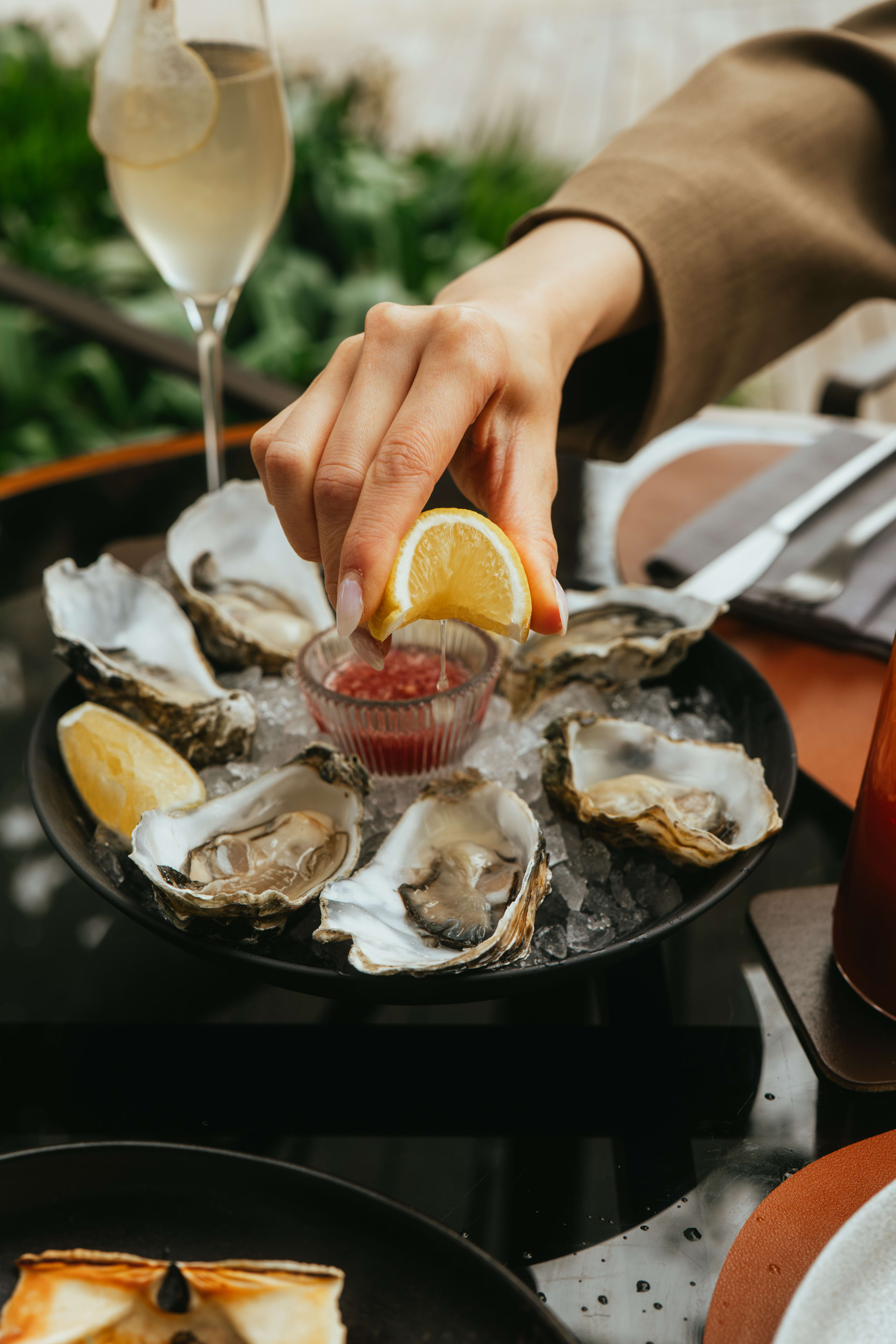 Oysters
