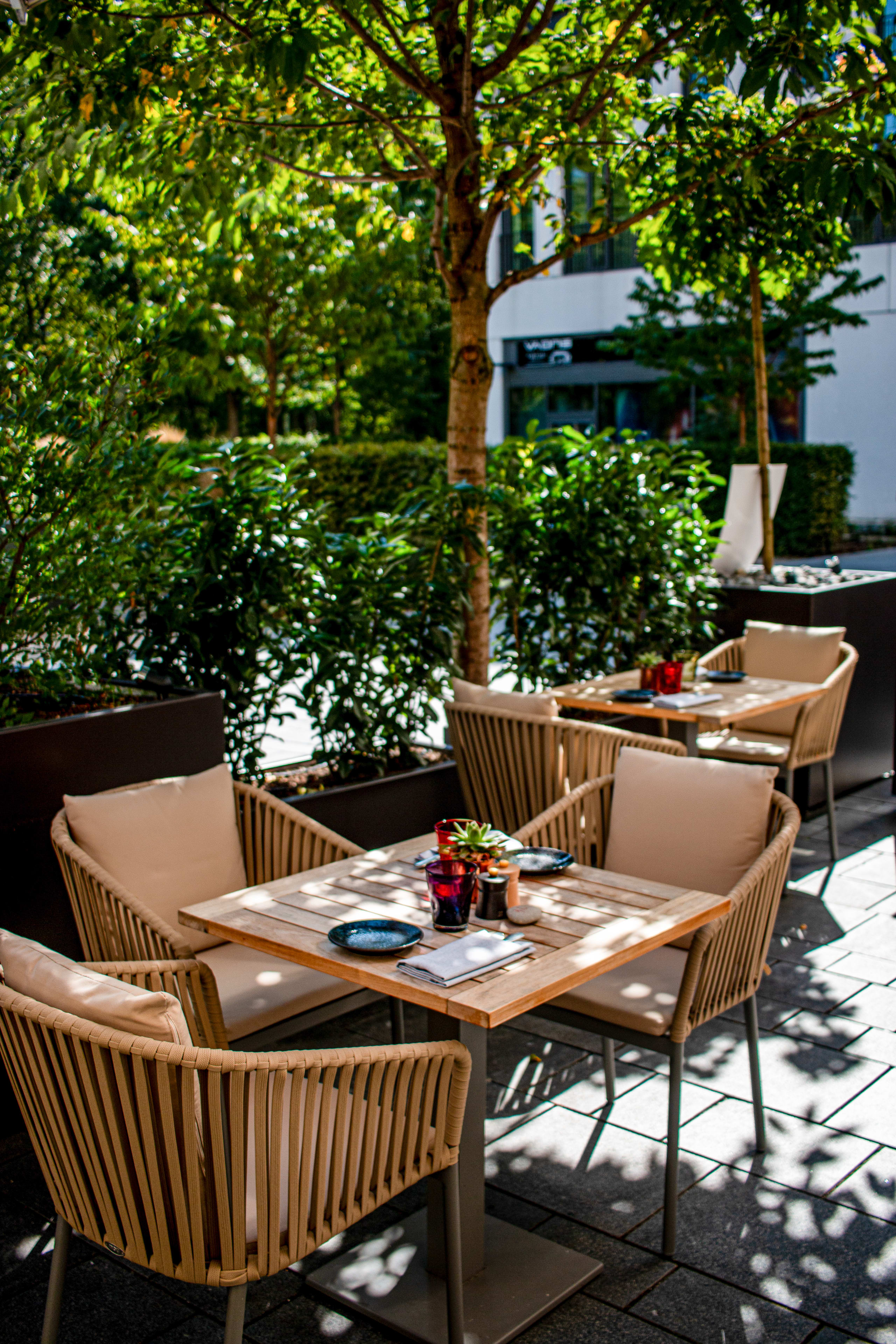 The Lonely Broccoli Terrace Table and Grenery