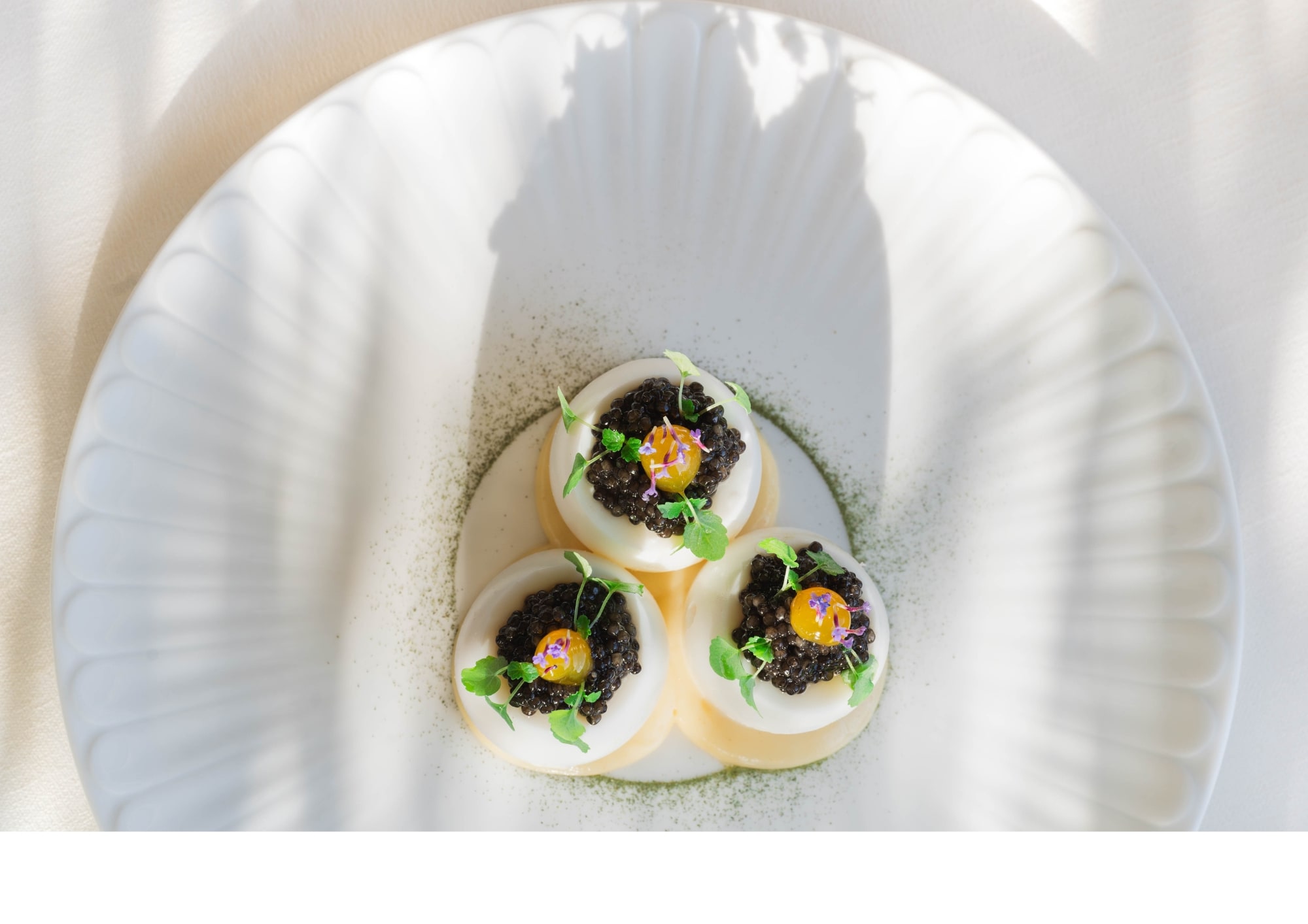 Design Sans Titre (31)