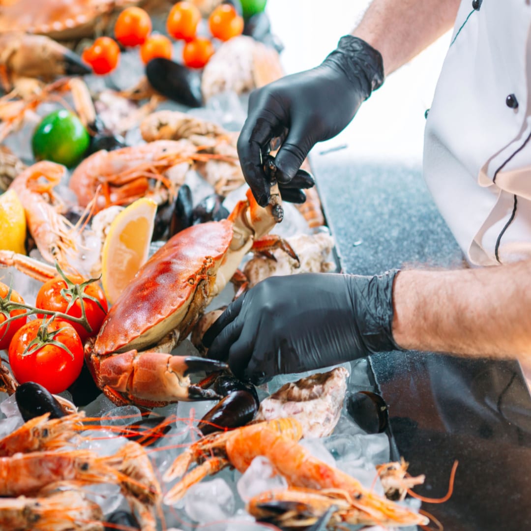 Shutterstock 1449930212