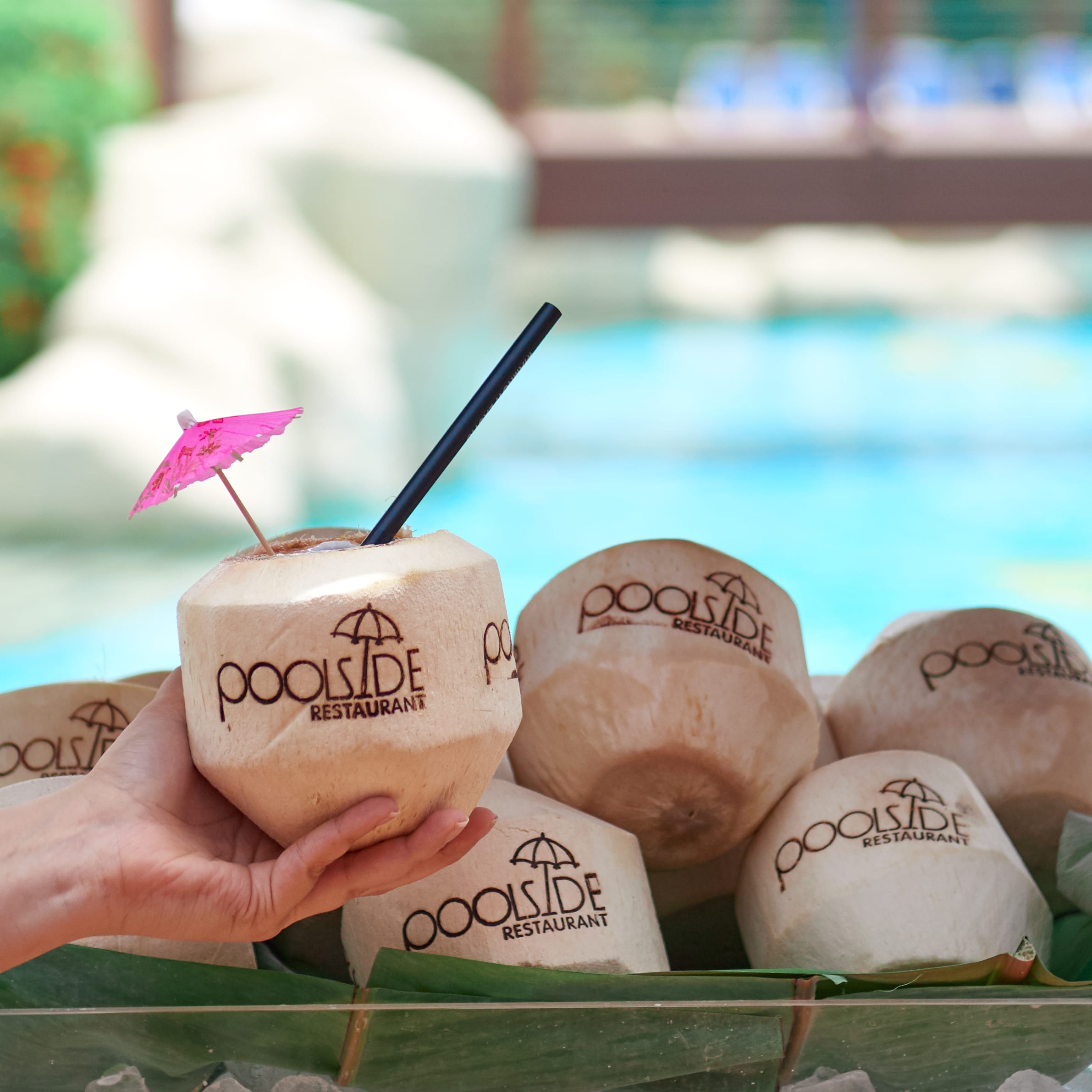 Coconut 2