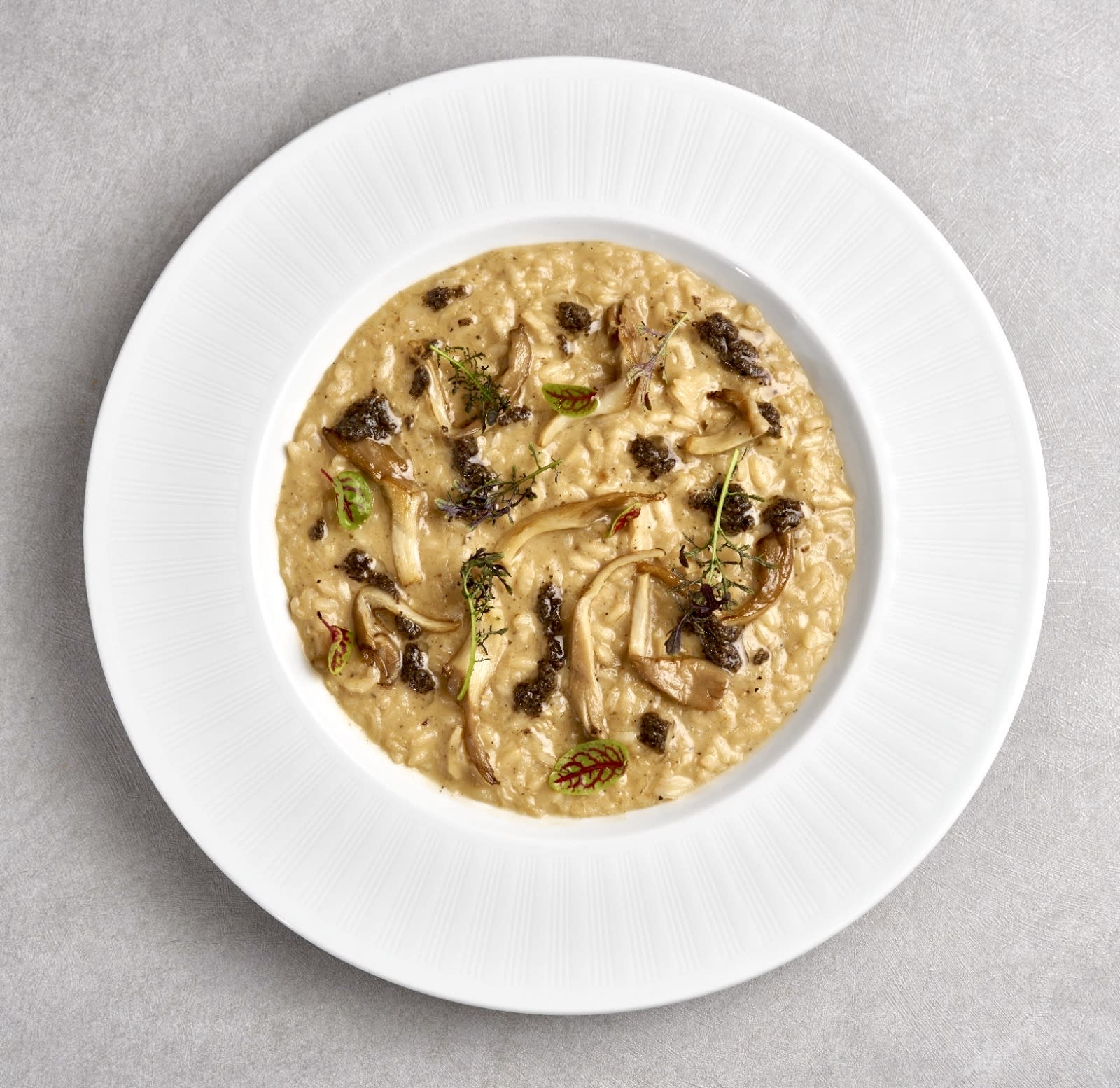 87654c3a B821 4ec2 976a F1917a7c76d6