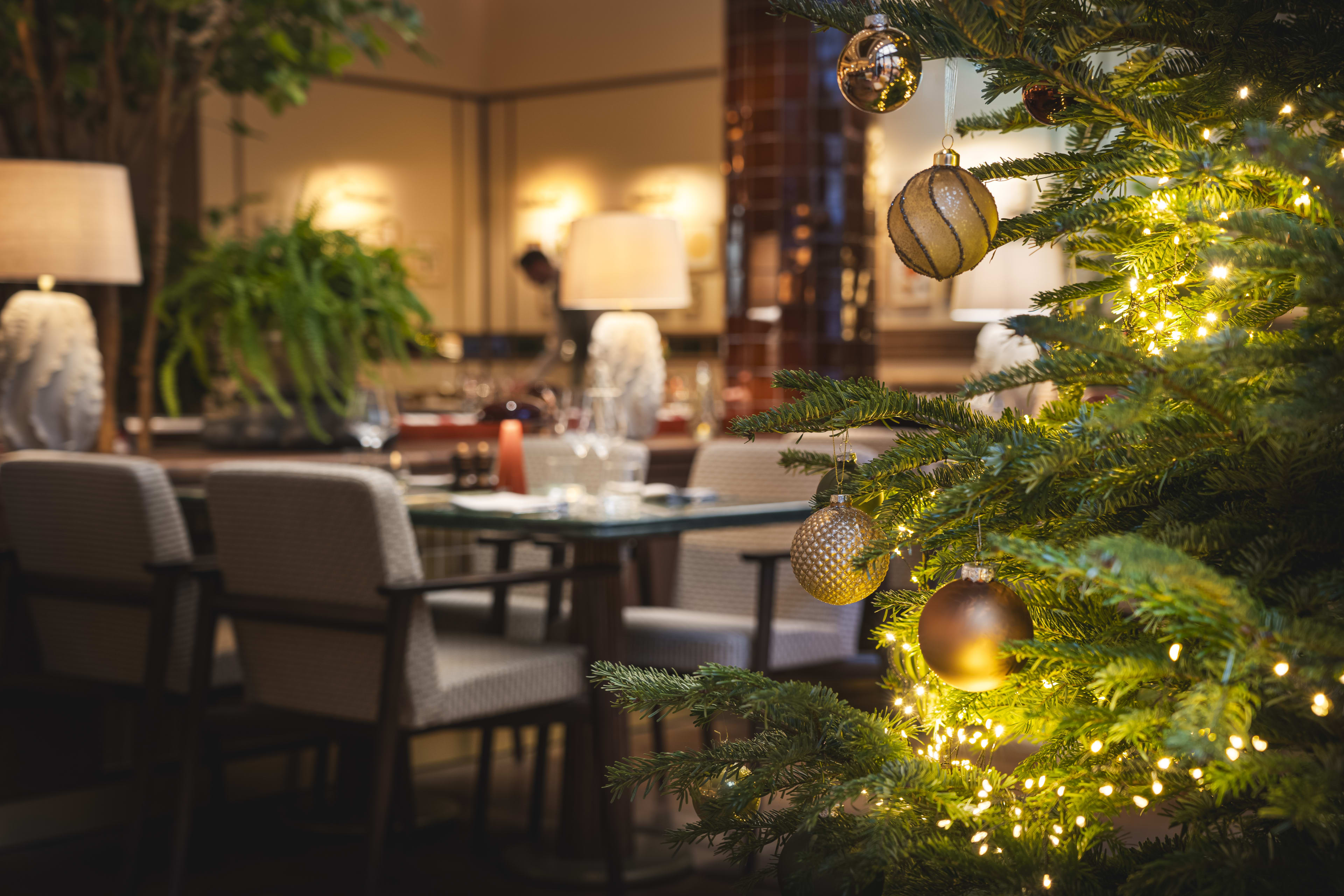 Brunfels Hotel Christmas2024 3