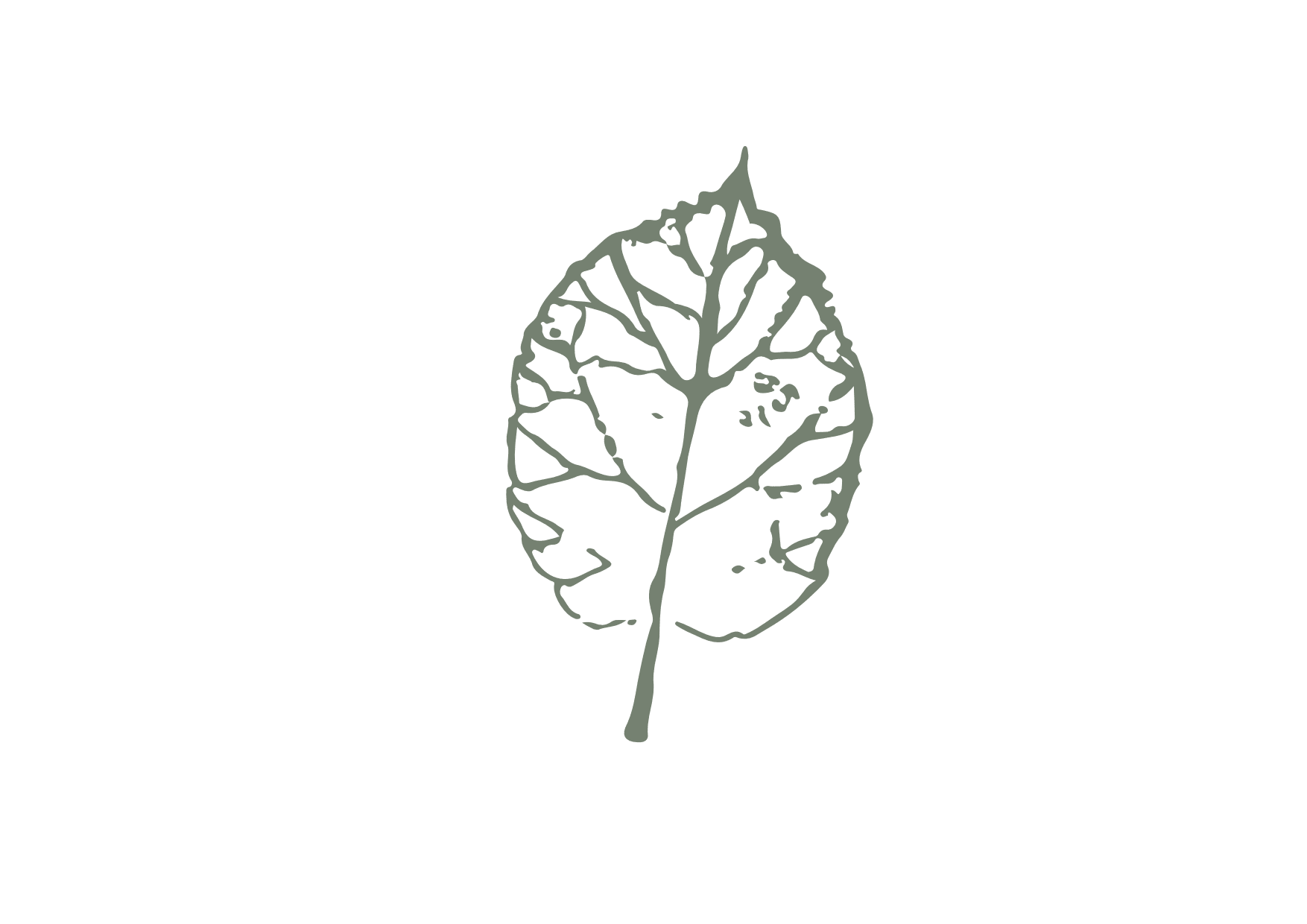 Primary Emblem   Green