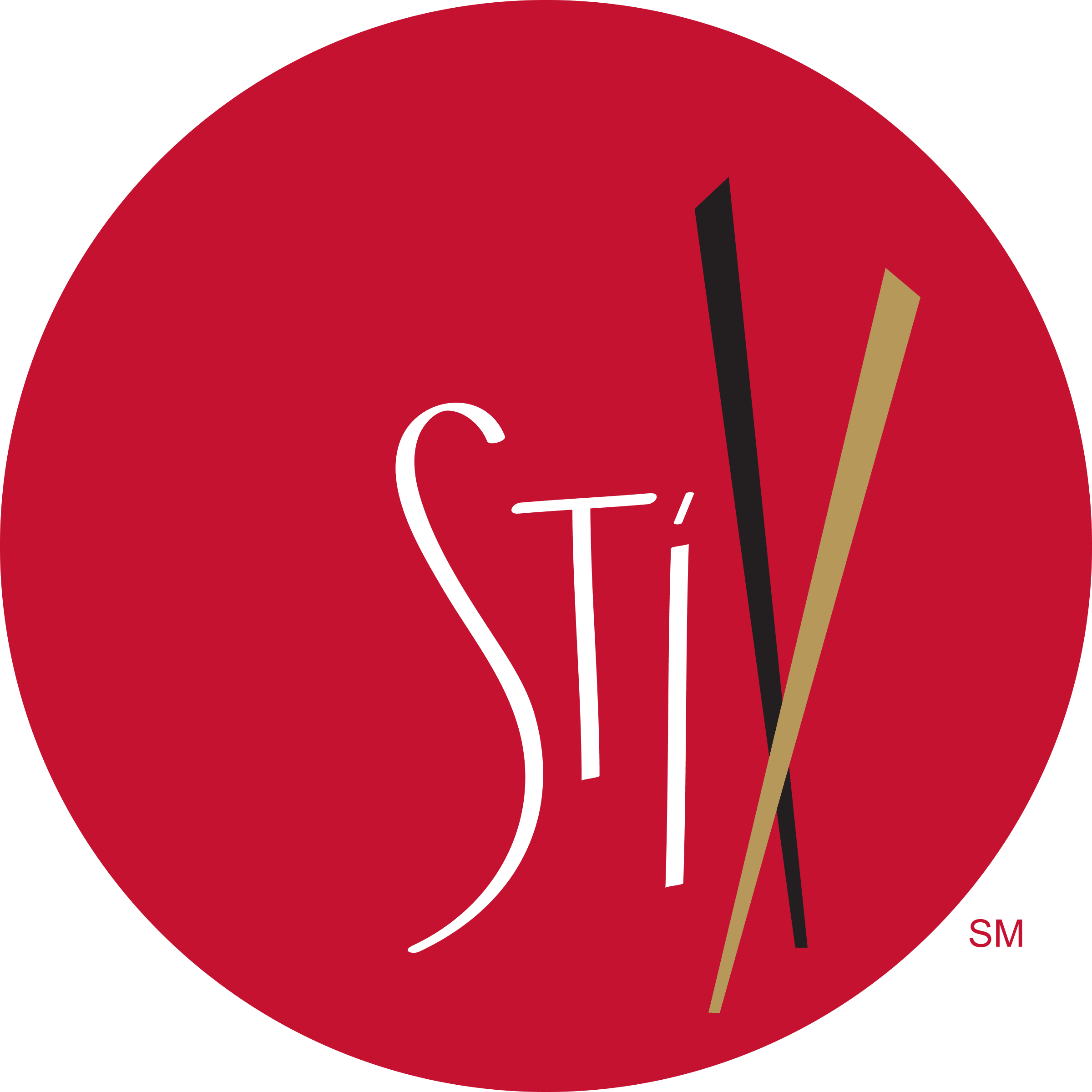 Stix Logo   Color