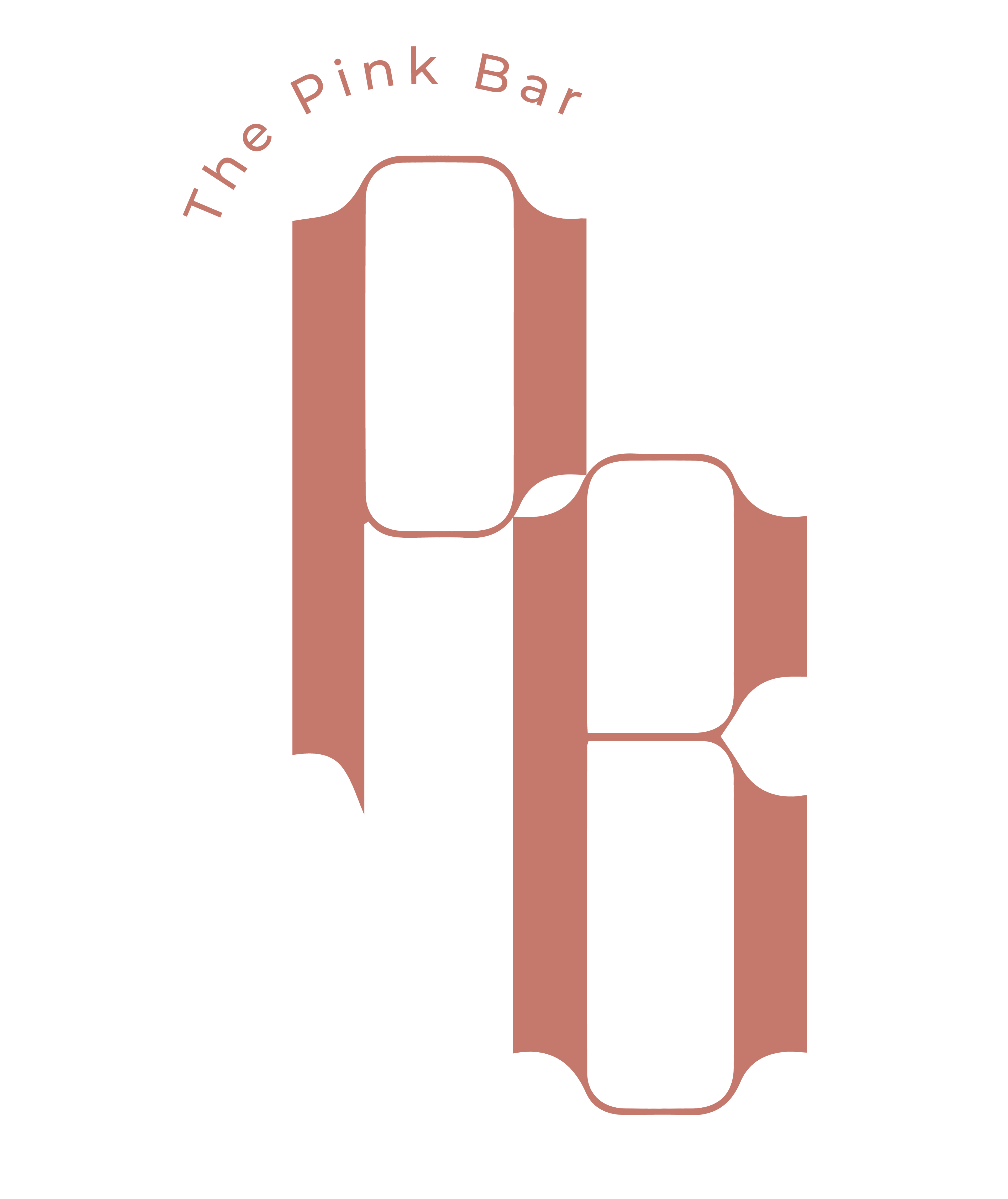 Pb Logo Full