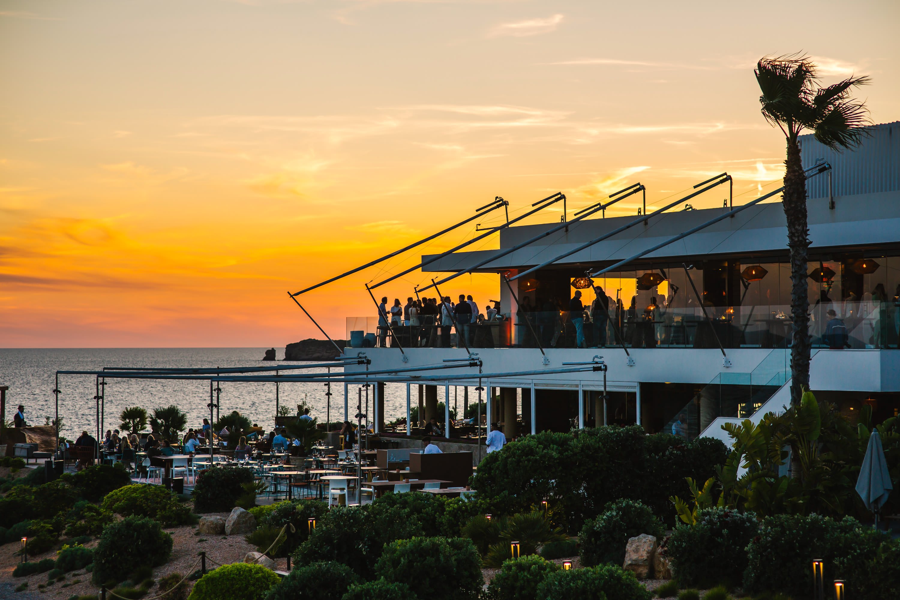 7 Pines Nela ibiza sunset