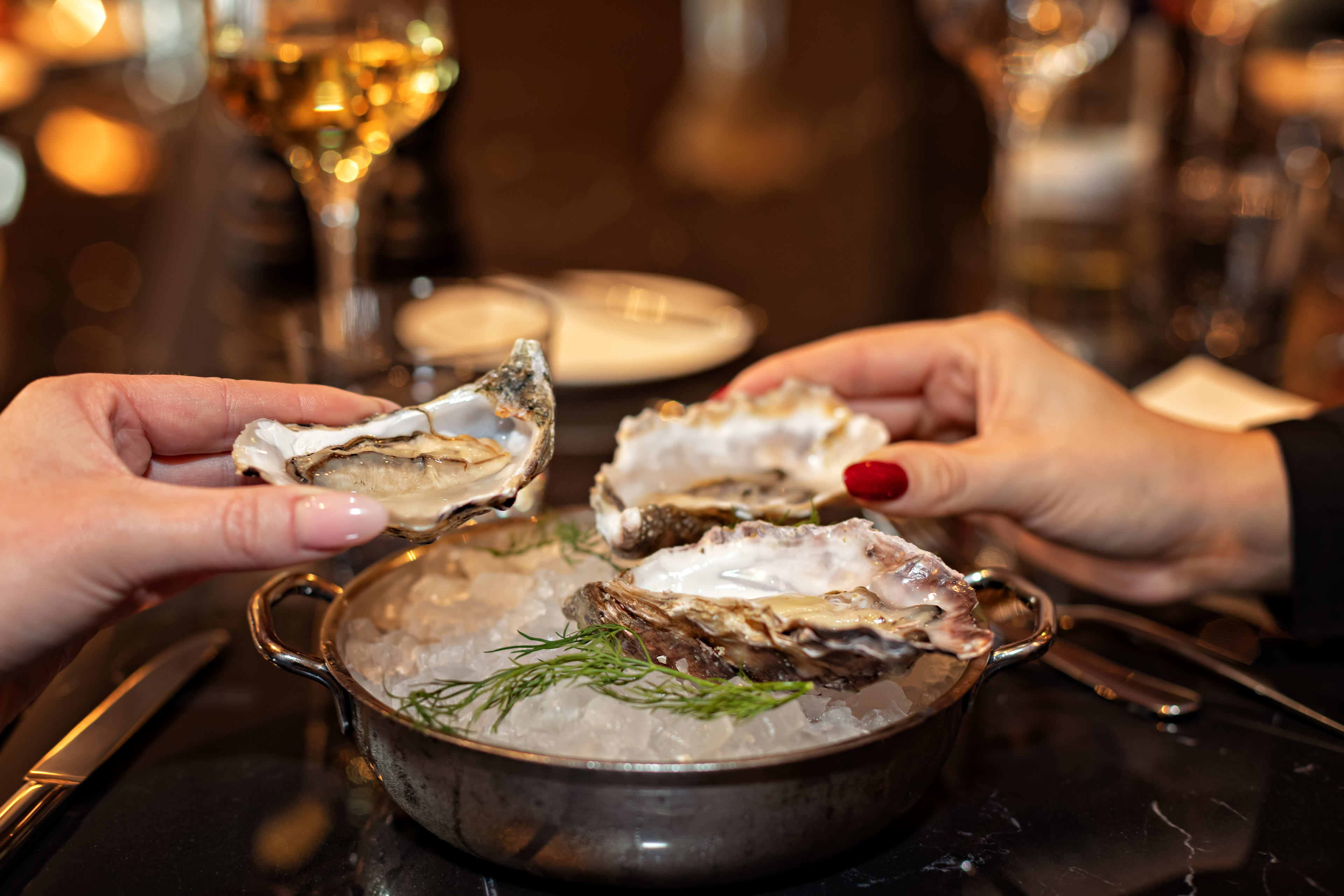 Dusse P1004 Dox Food Oyster