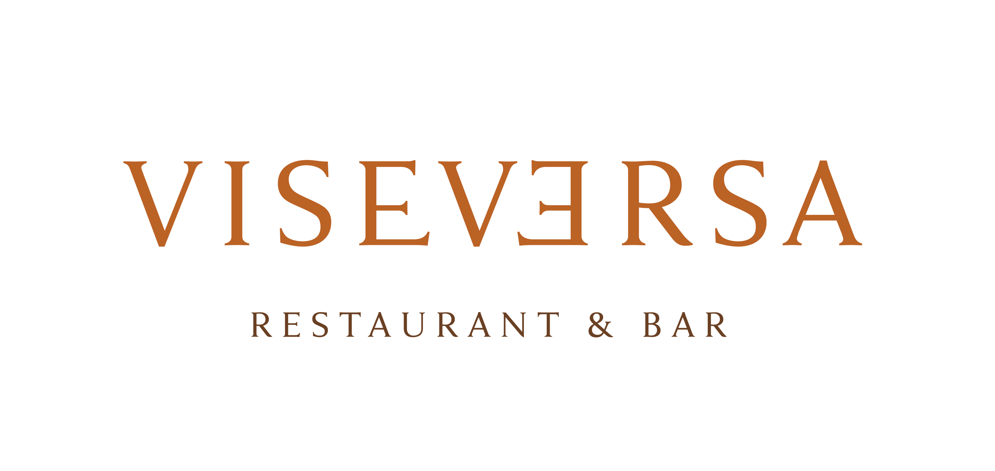 Viseversa Brands 03