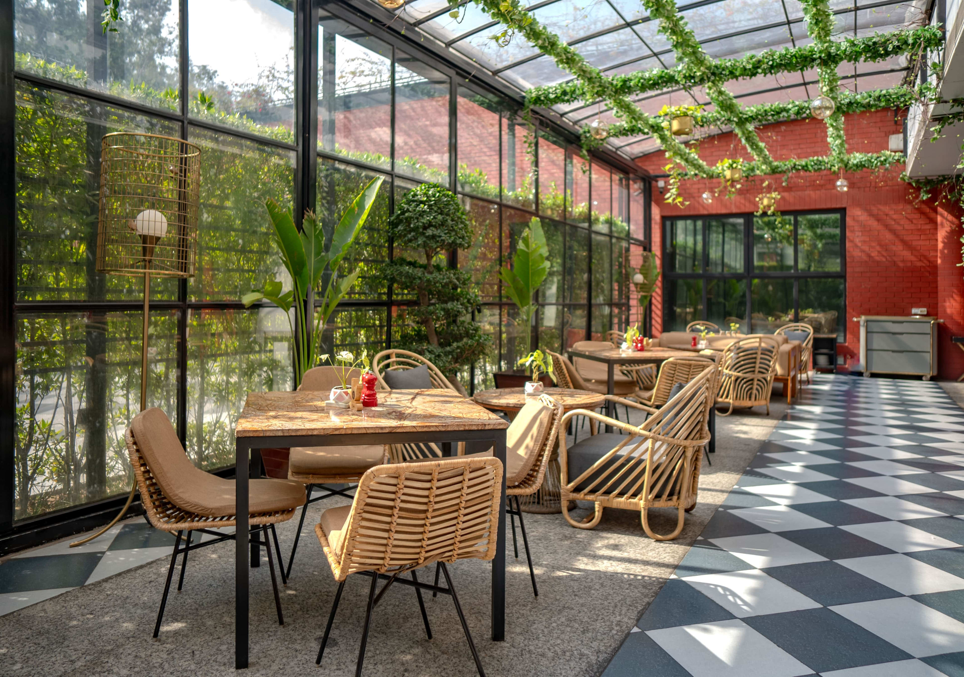 Glasshouse Daylight (6)