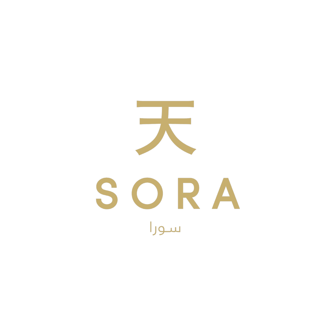 Sora Logo