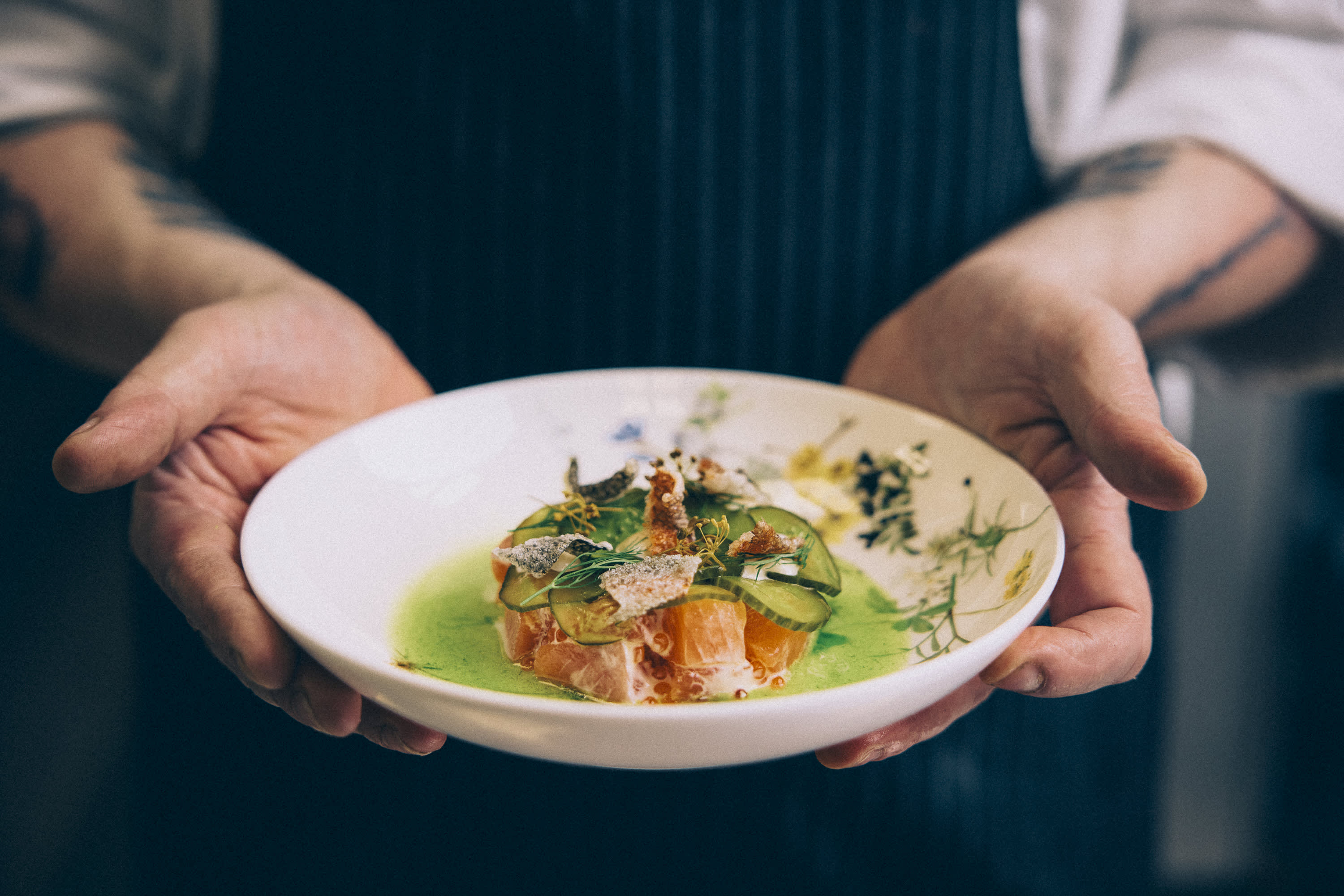 Brunfels 2024©peterbender 188