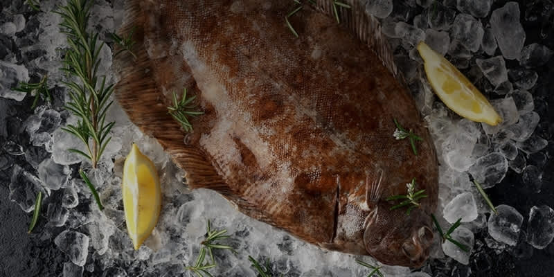 European Catch Hyatt Restaurant