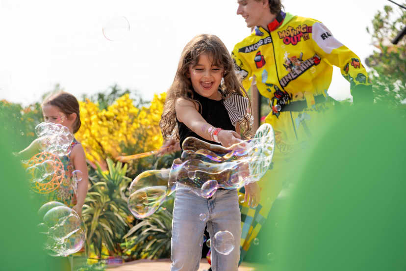 Ds C06772 Edited 2 (1)