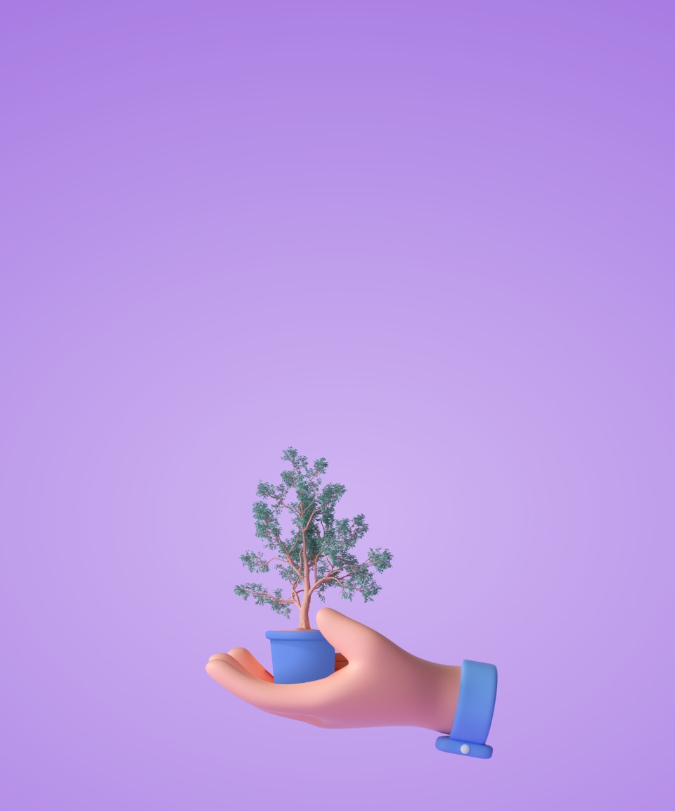 A hand holding a small growing tree in a planter for Confetti's Plant a Tree Donation