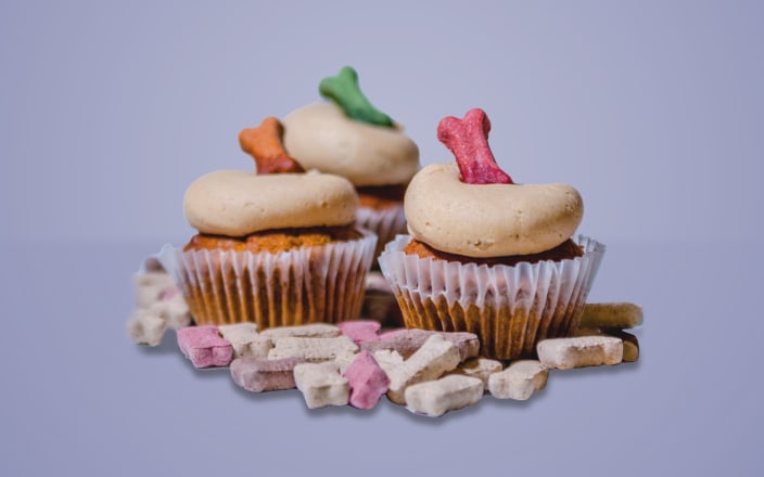 Dog treats surrounding three dog friendly cupcakes topped with frosting and a dog treat for Confetti's Virtual Pet Treat Baking Class