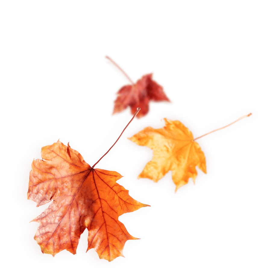 Autumn leaves falling for Fall Team Building Activities