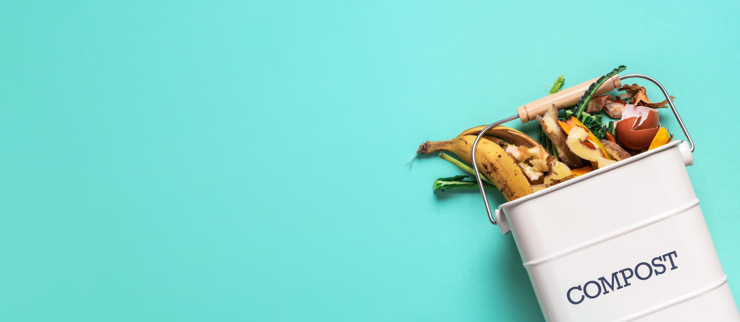 Composting Class | Confetti 🎉