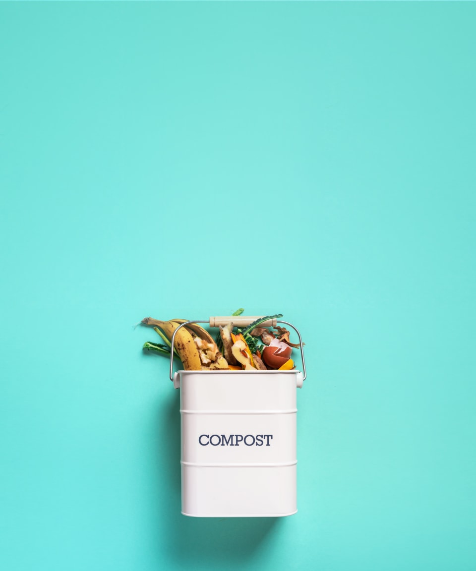 An overflowing compost bin (small)