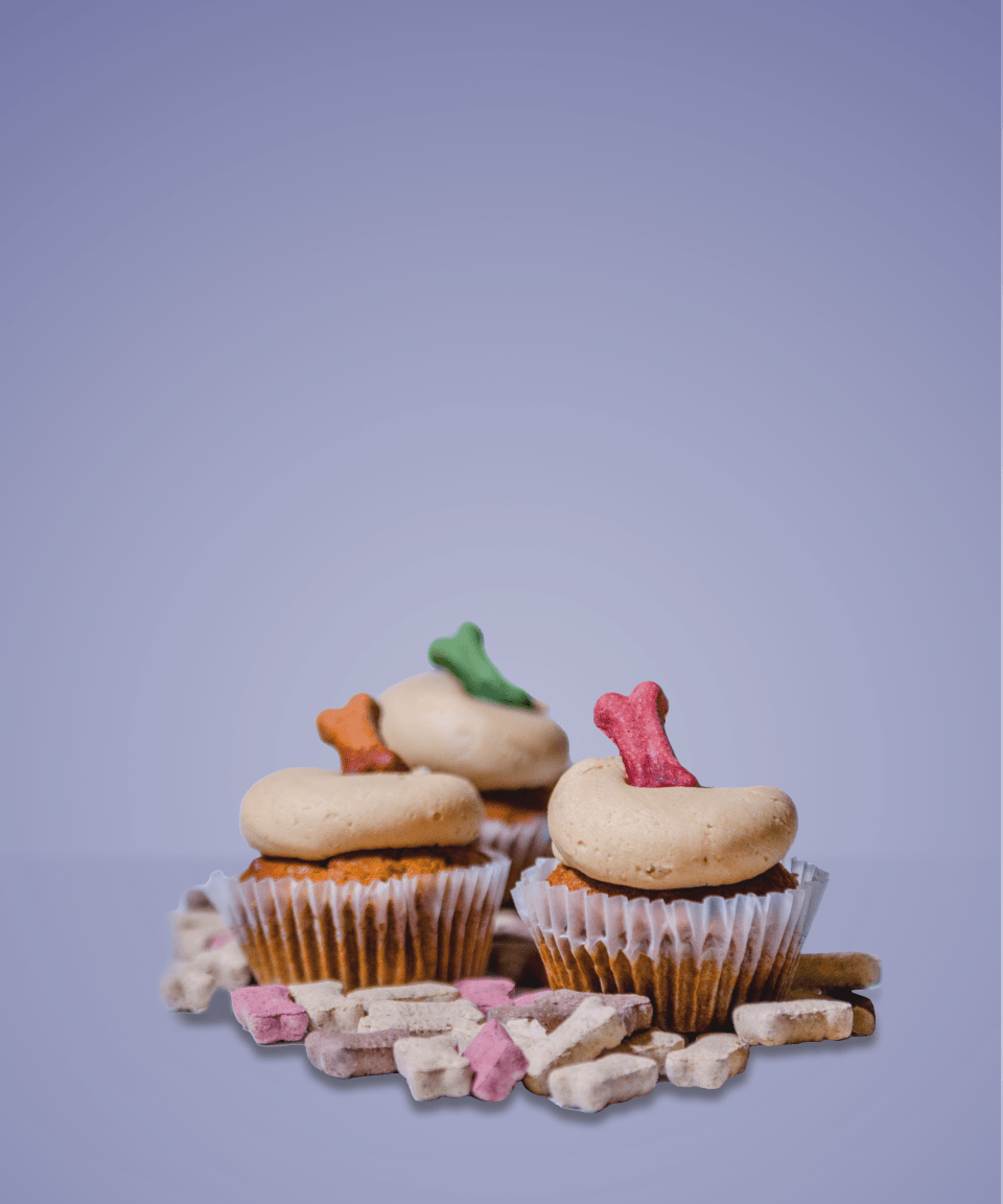 Dog treats surrounding three dog friendly cupcakes topped with frosting and a dog treat for Confetti's Virtual BYO Pet Treat Making Class