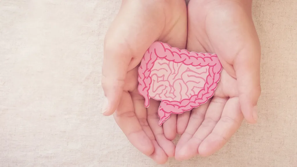 Illustration of bowel