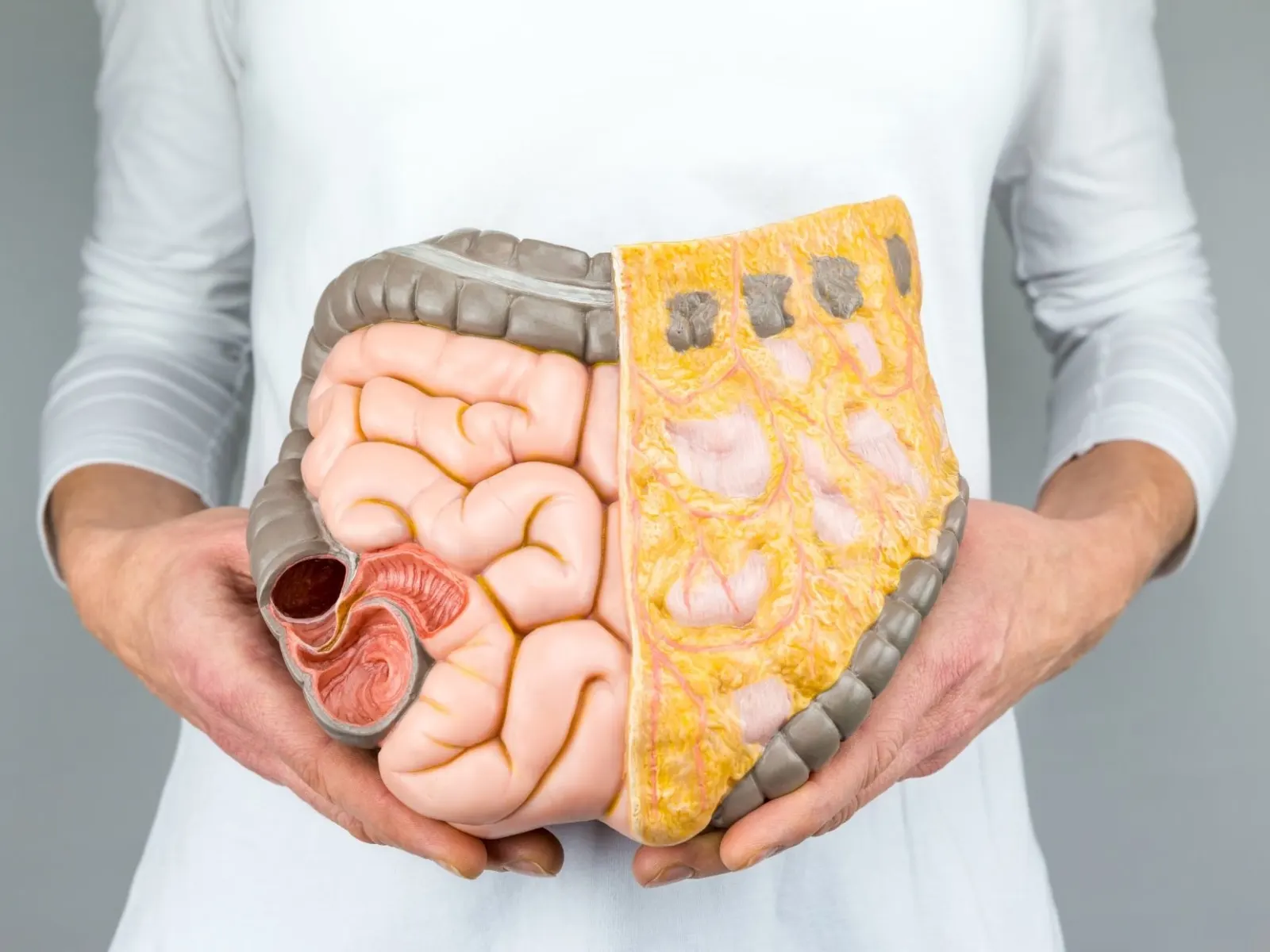 The Importance of Colorectal Cancer Screening