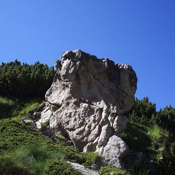 Пешеходни турове
