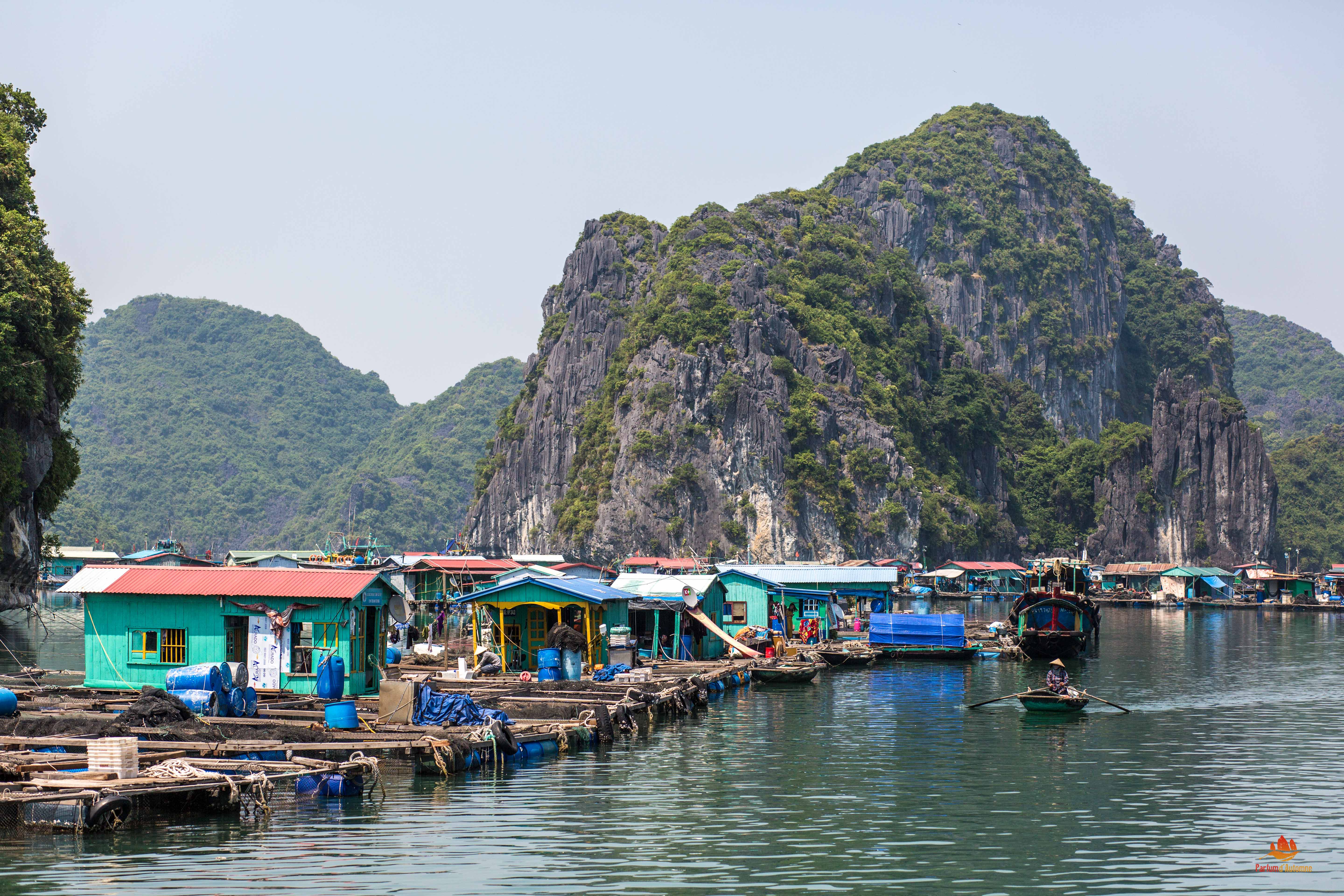 excursion baie d'halong