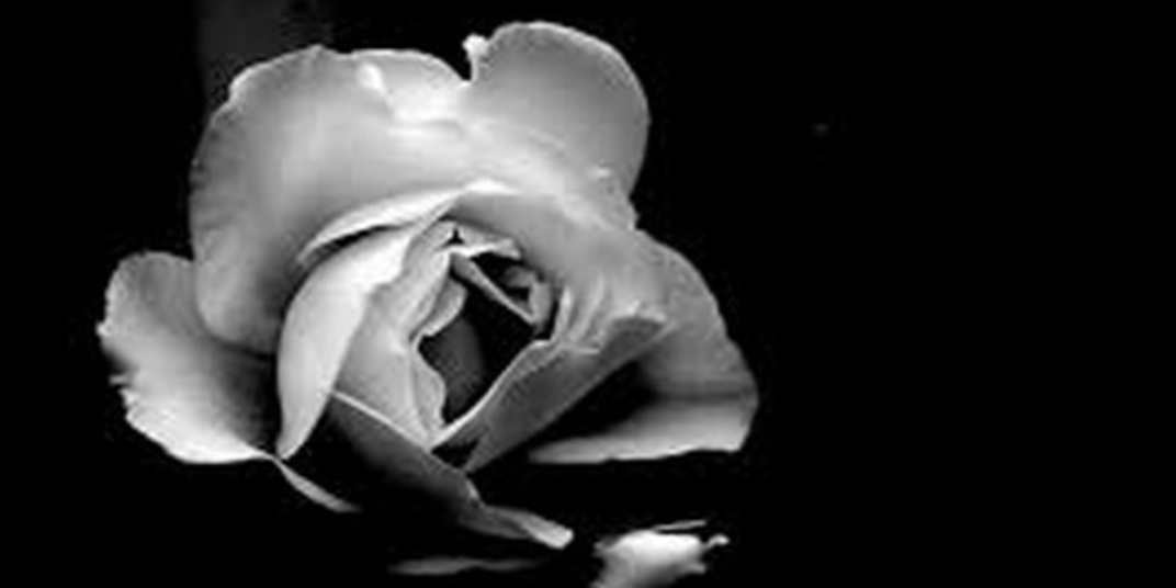 There Is Only One Way Out There is only one way to truly heal, requiring