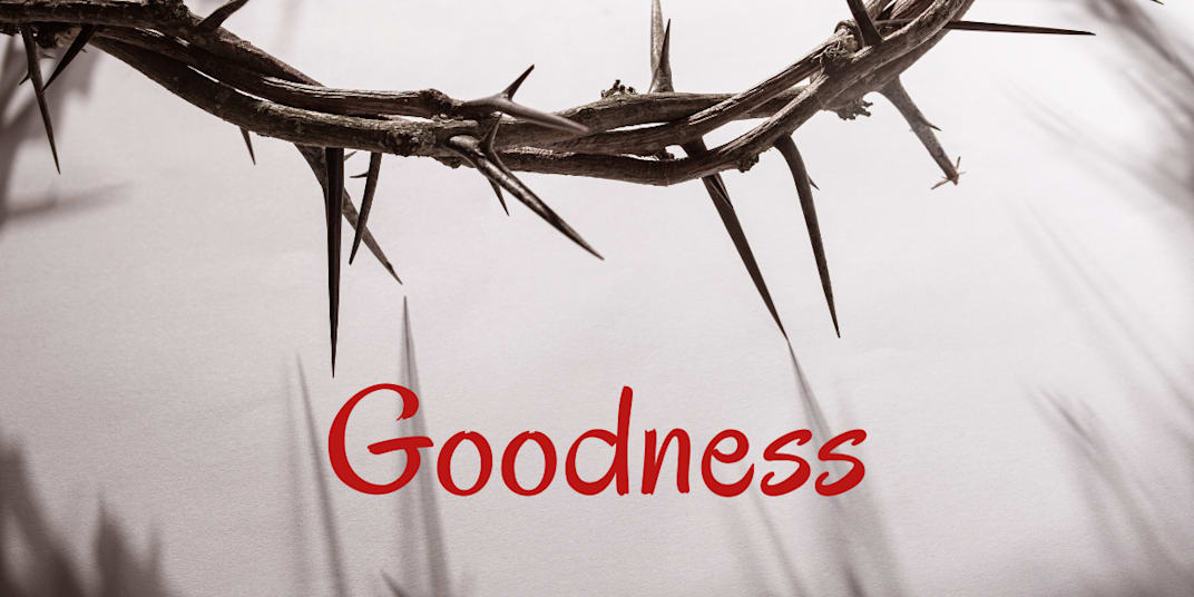 Goodness Goodness is something so simple; always to live for others, never