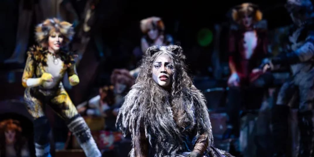 Review of Cats by Andrew Lloyd-Webber, presented by Lyric Theatre, QPAC