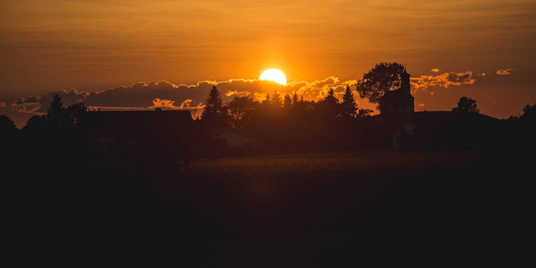 Sunny Days The sun brought heat and sweat,&nbsp;But did nothing to lift him