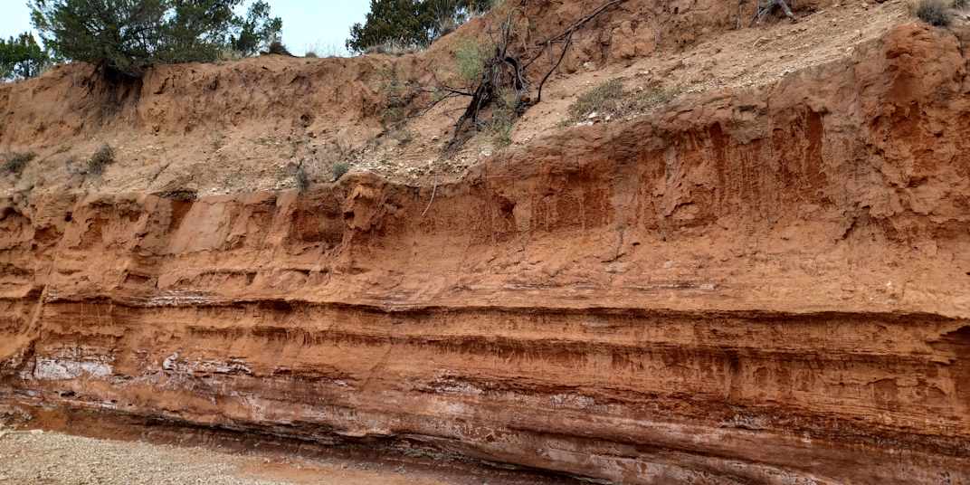 Rosetta’s Whispers: Don't Be Shy - Reach Out! Before I get started here,