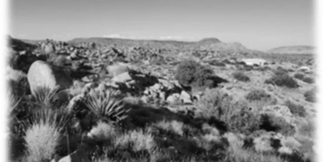 A Family Mystery in the California Desert What started as a simple