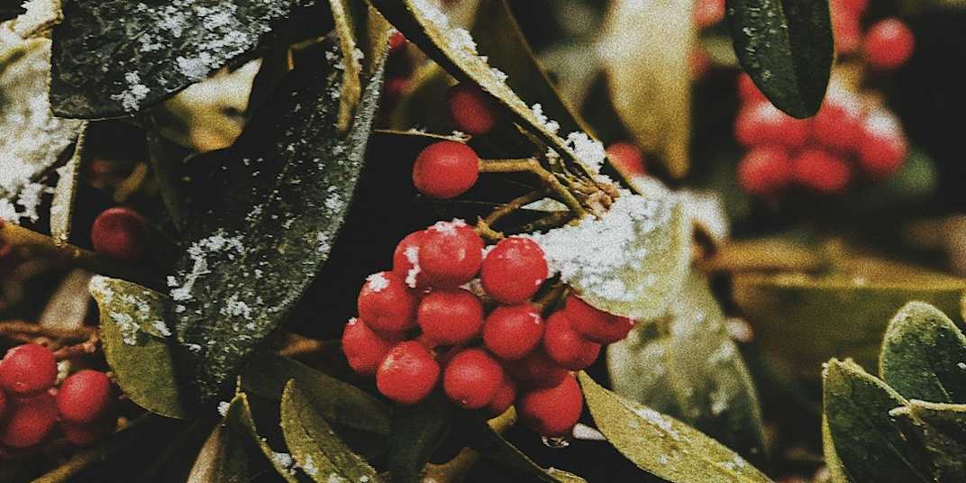 Pretending to Be Alive At a certain point along the way, when we are now