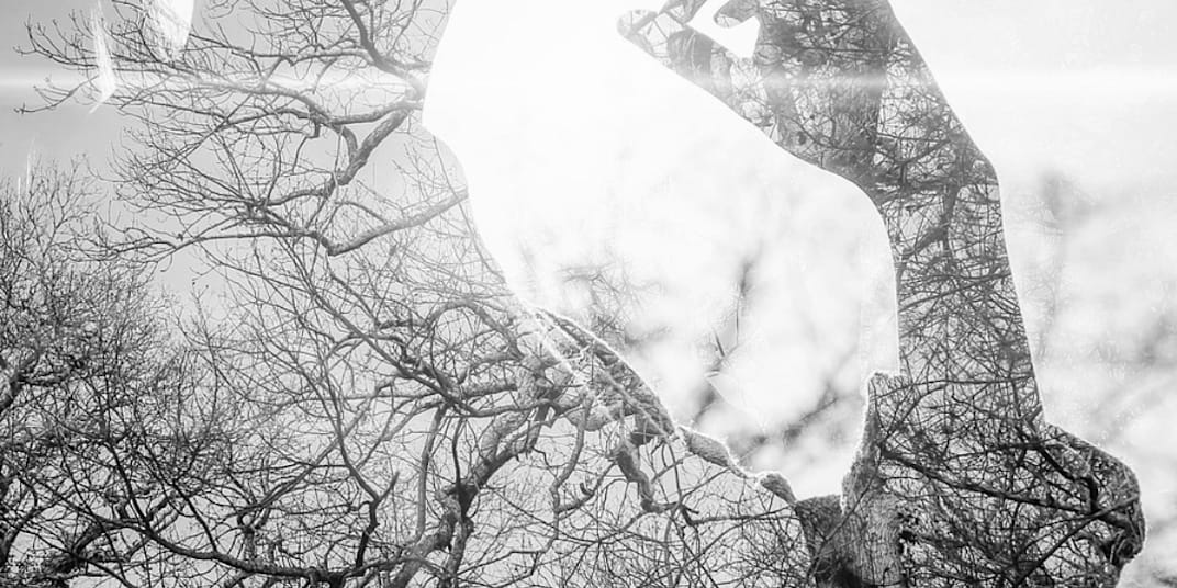 Publications in Literary Magazines Published in Literary Magazines