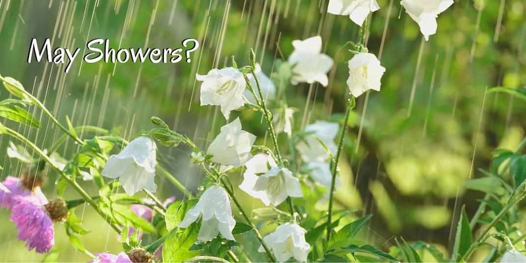 May Showers Bring June Flowers? Isn't it supposed to be "April showers