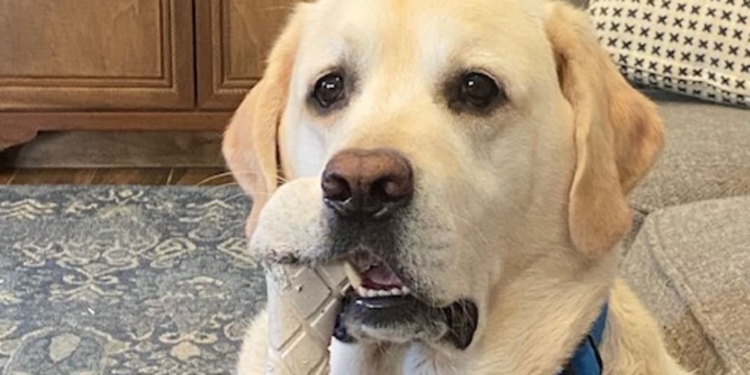Big News from Floyd! My master and best friend, Robert John DeLuca, has