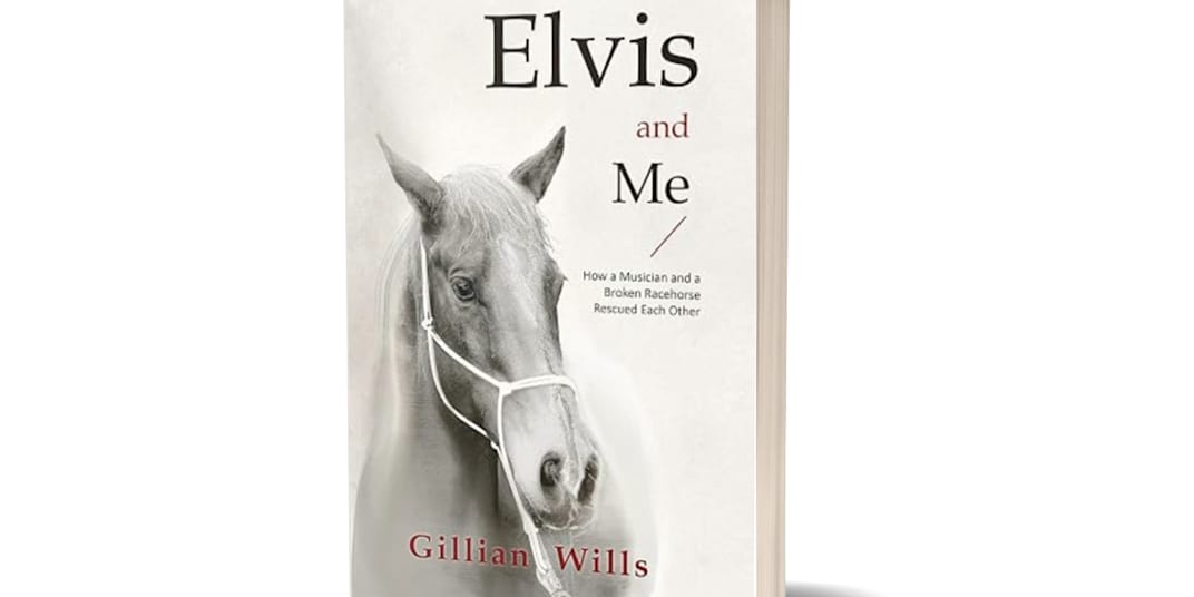 Review of Elvis and Me from Shelley Dark, bestselling author of Hydra in