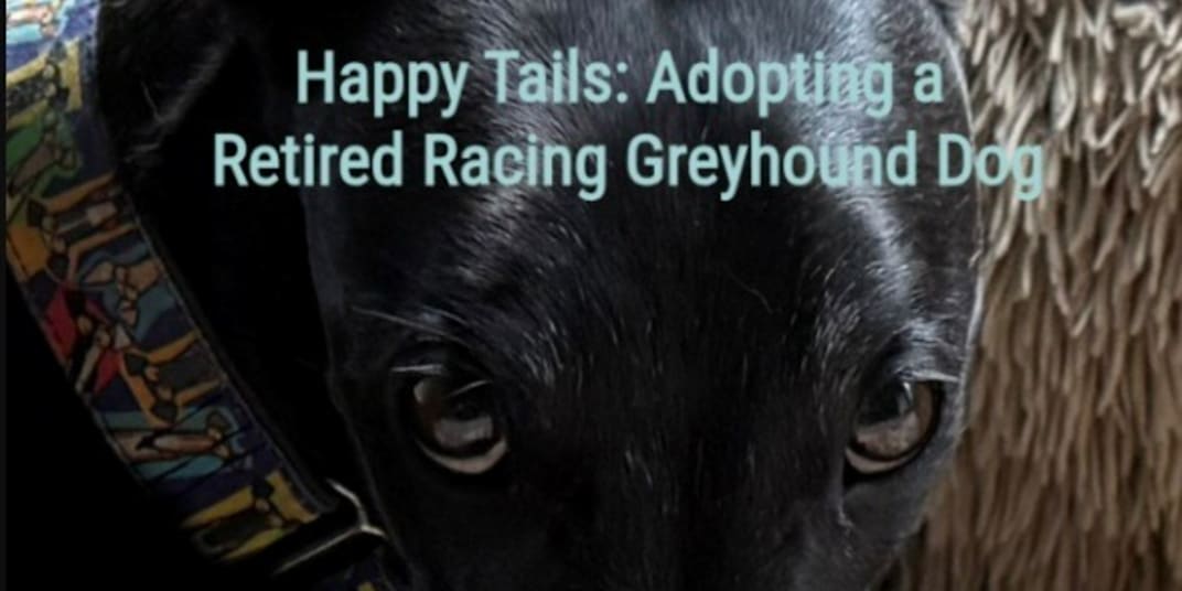 New E-Book Just Released! Available now on Amazon.com and Barnes &amp;