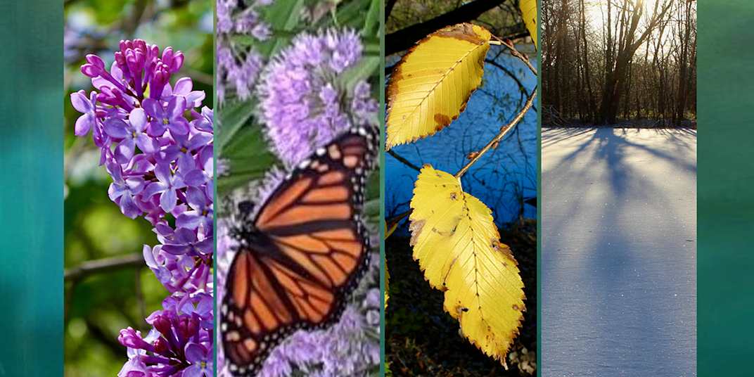 MY NEW POETRY BOOK IS RELEASED! Greetings!My new collection of poems, "The