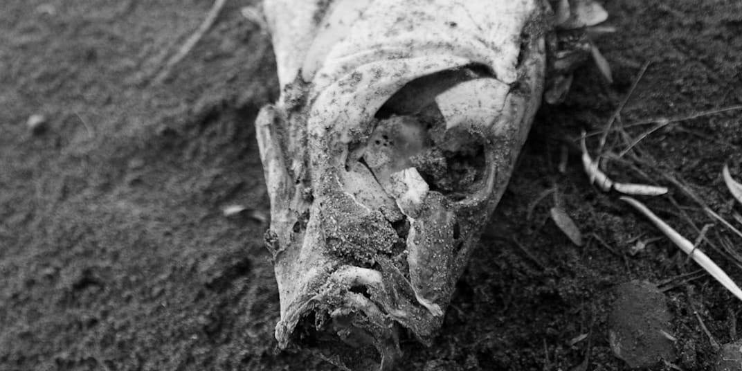 Stay in Your City of Plastic I am tired of speaking to myself, to ears