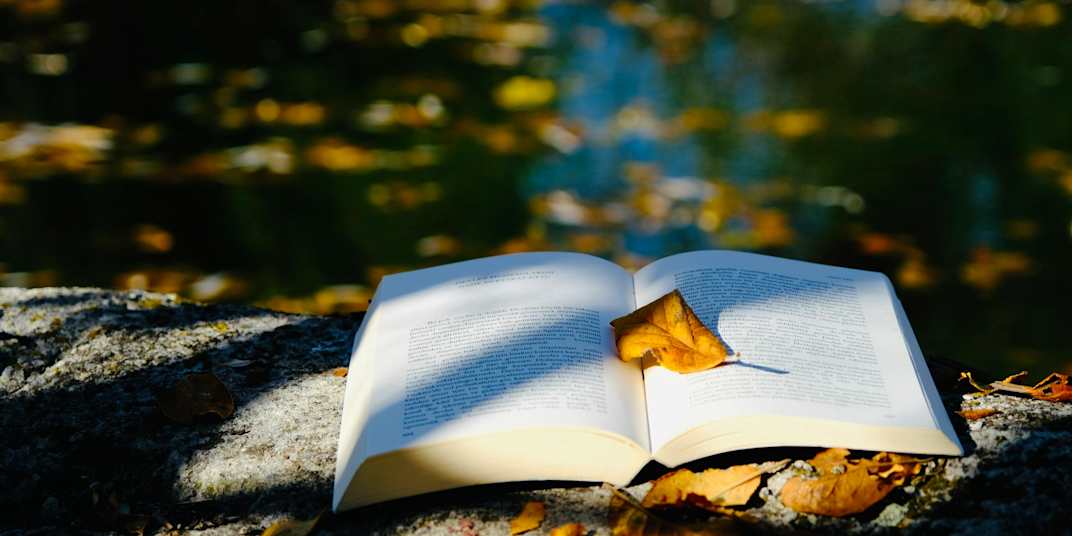 Not Every Story Wants to Be Found, but Yours Might... *Written with
