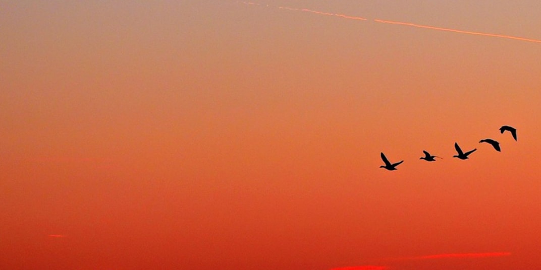 Pushcart Prize nomination  I am honoured and delighted to be nominated for