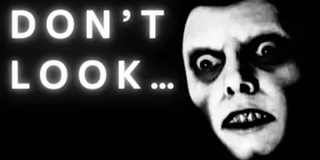 When it came into the house, I told her not to look - Short Story Alongside