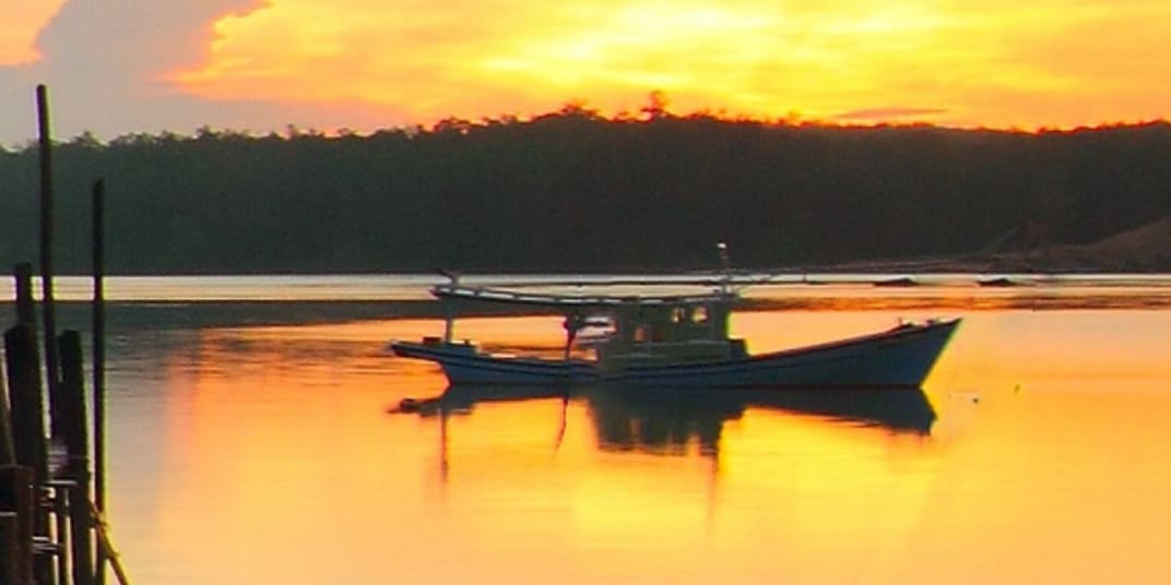 THE COVE: A Second Epilogue &nbsp;Read the next chapter in the continuing