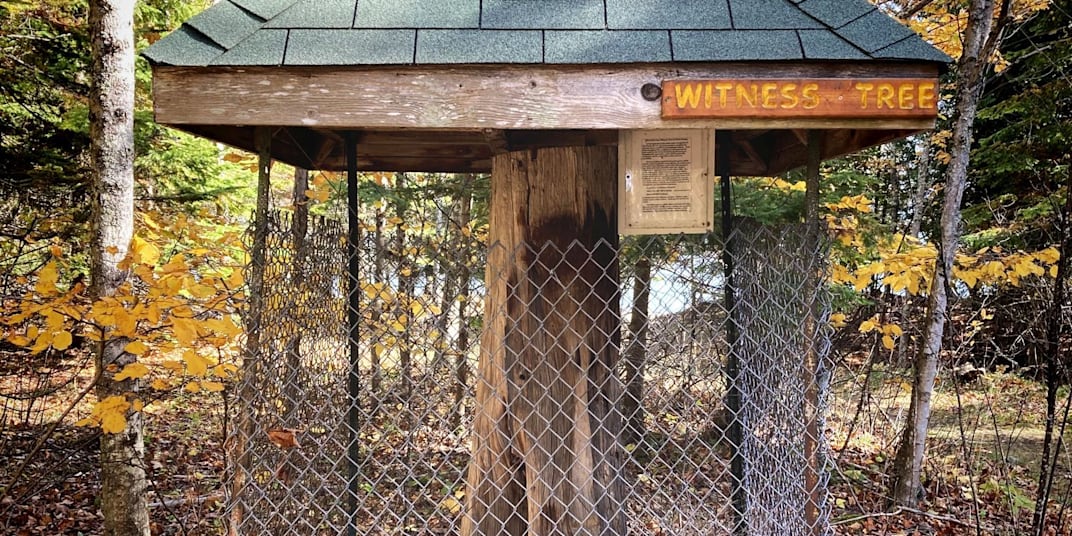 Oddsconsin 62 - Washington Island Witness Tree It’s a few hundred feet from