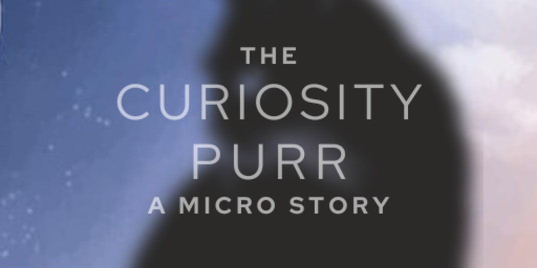 The Curiosity Purr Ever wonder what goes in the mind of a cat? Come take a