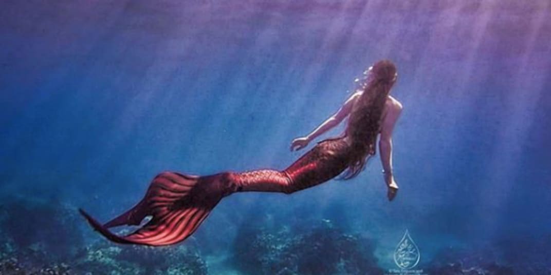 The Mermaid Bride Podcast The Mermaid Bride, by Alexandra Ely, is an